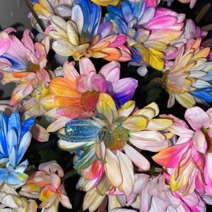 Meet your Posher, Kaylin!